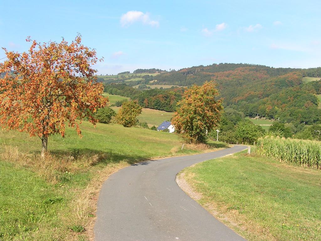 Apartment Preising Willingen  Bagian luar foto
