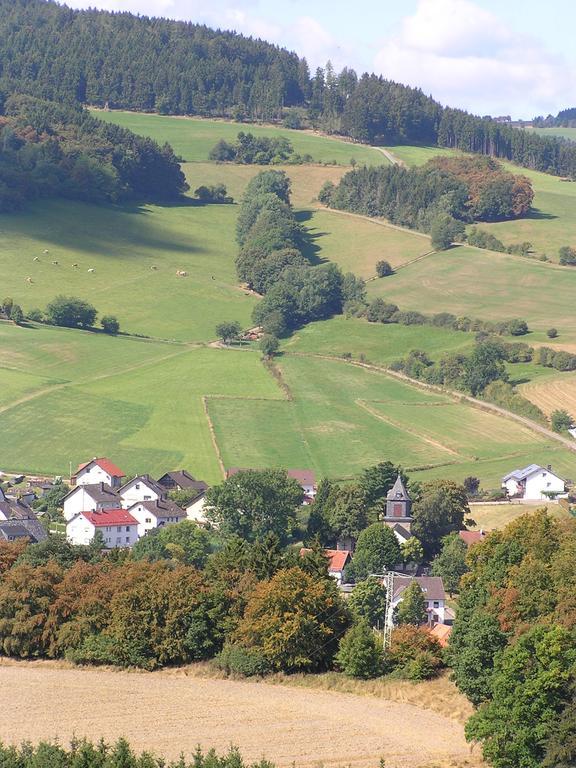 Apartment Preising Willingen  Bagian luar foto
